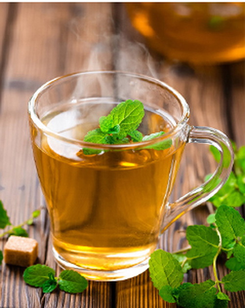 Sử dụng ấm điện siêu tốc Rạng Đông pha một tách trà ngon
