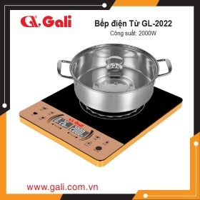 Bếp điện từ đơn Gali GL-2022